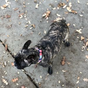 Meet your Posher, Gayle